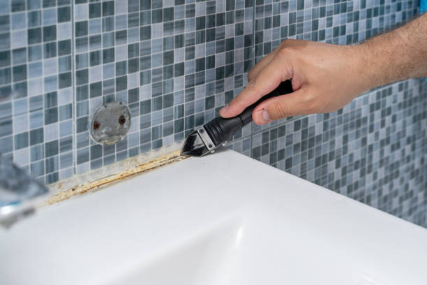 Best Toxic Mold Removal  in Waterville, NY